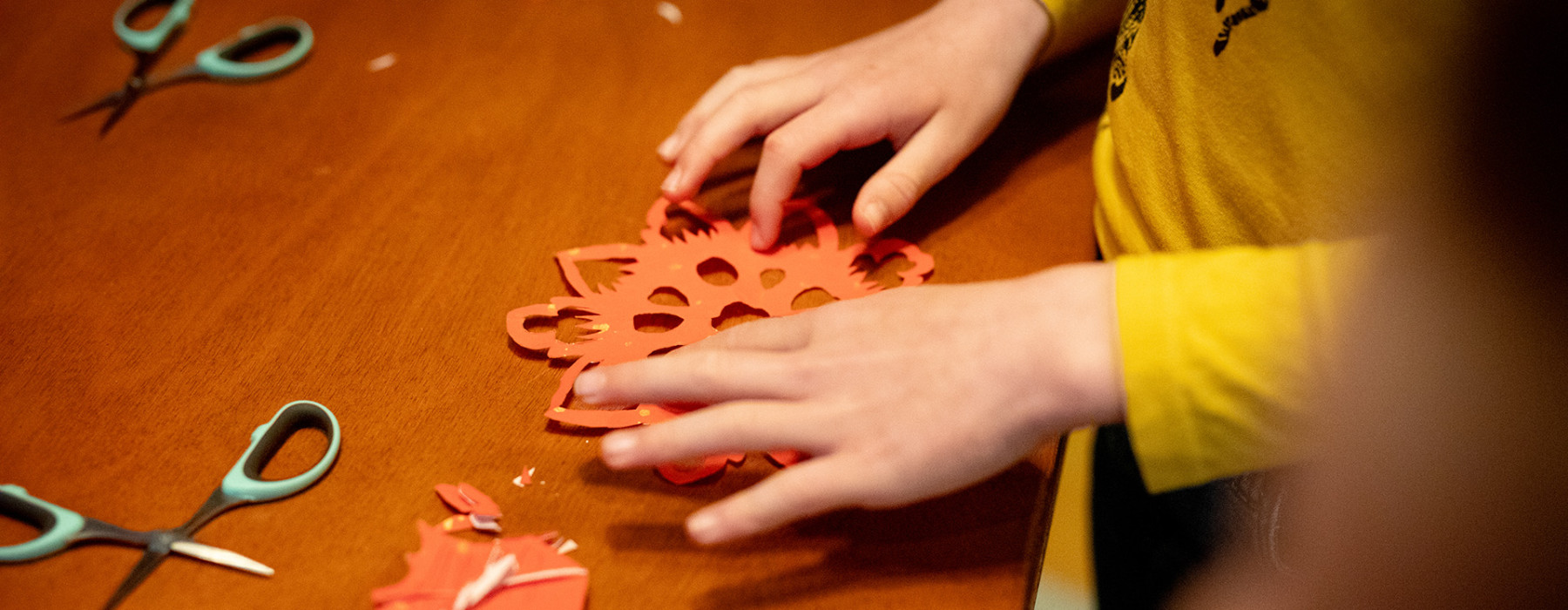 Lunar Nieuwjaar / Chinees Nieuwjaar  