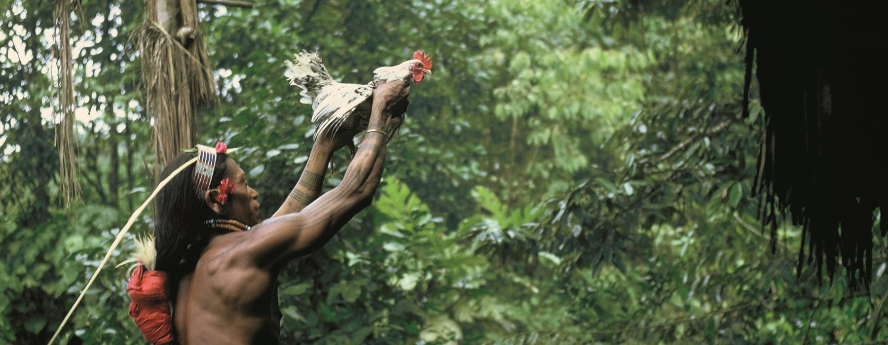 Mentawai - Museum Volkenkunde