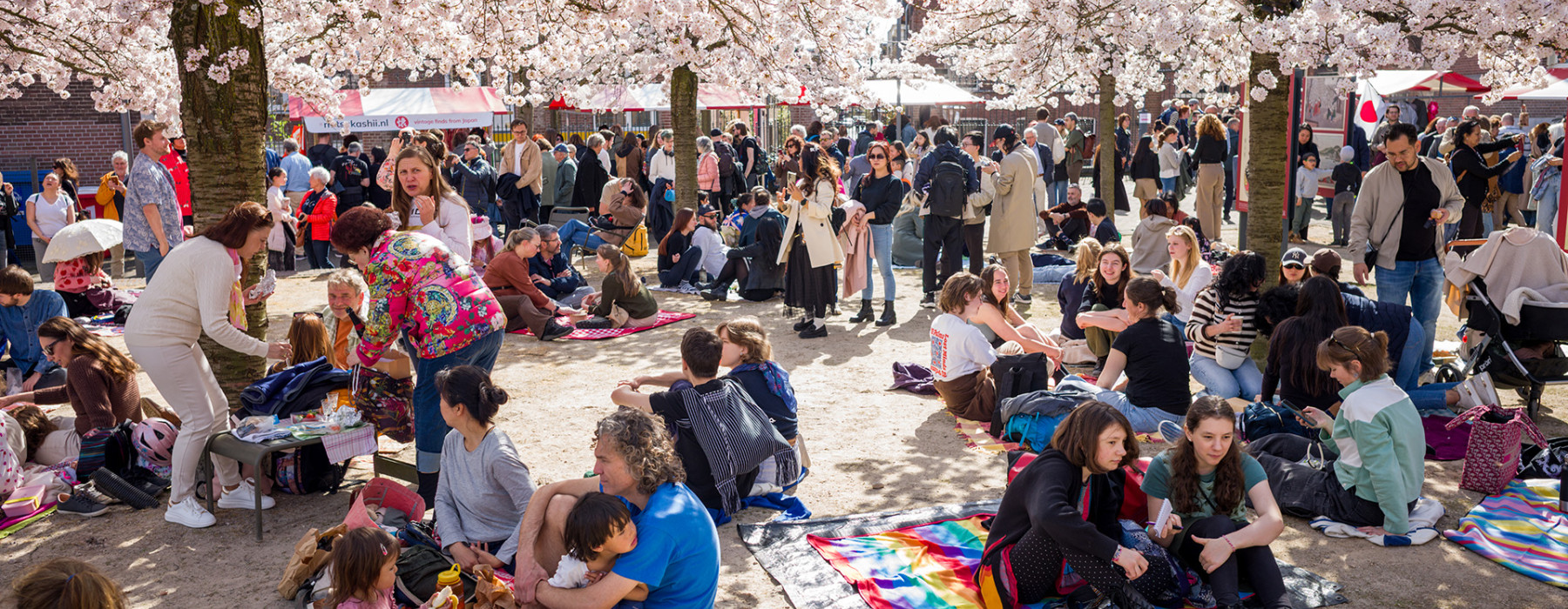 Hanami 2025