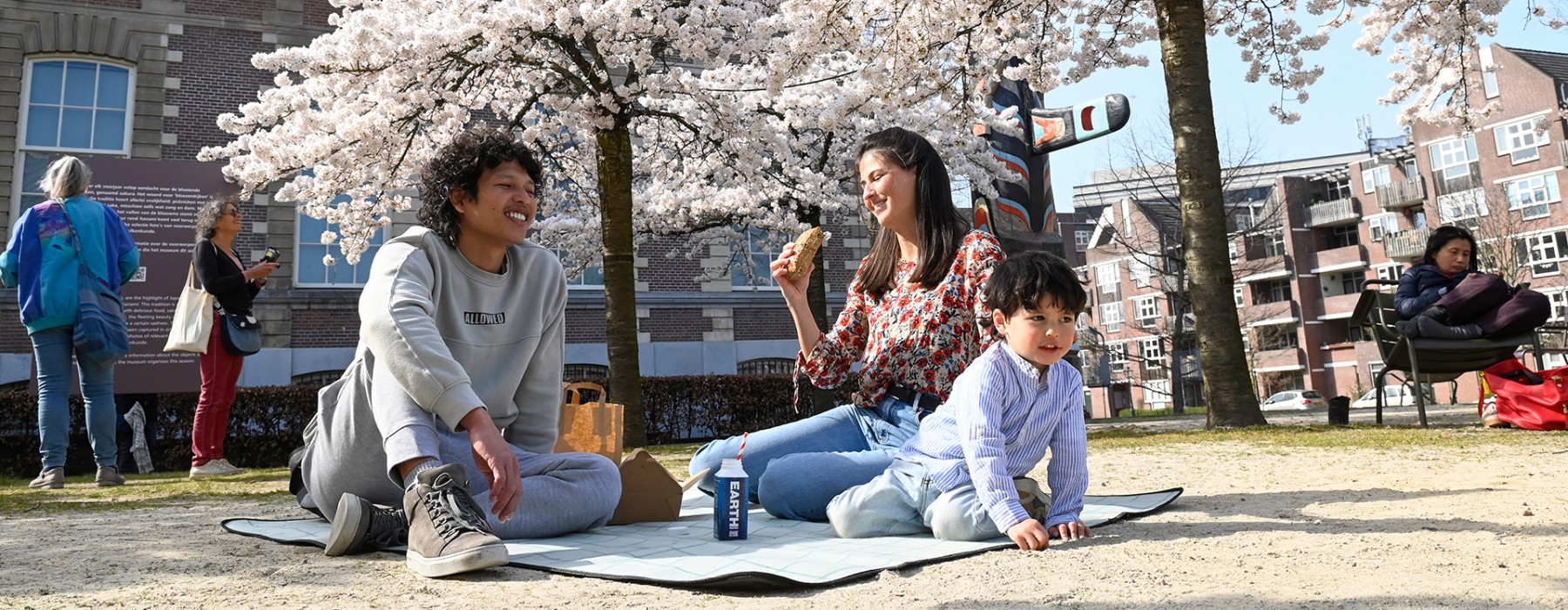 Hanami Wereldmuseum Leiden