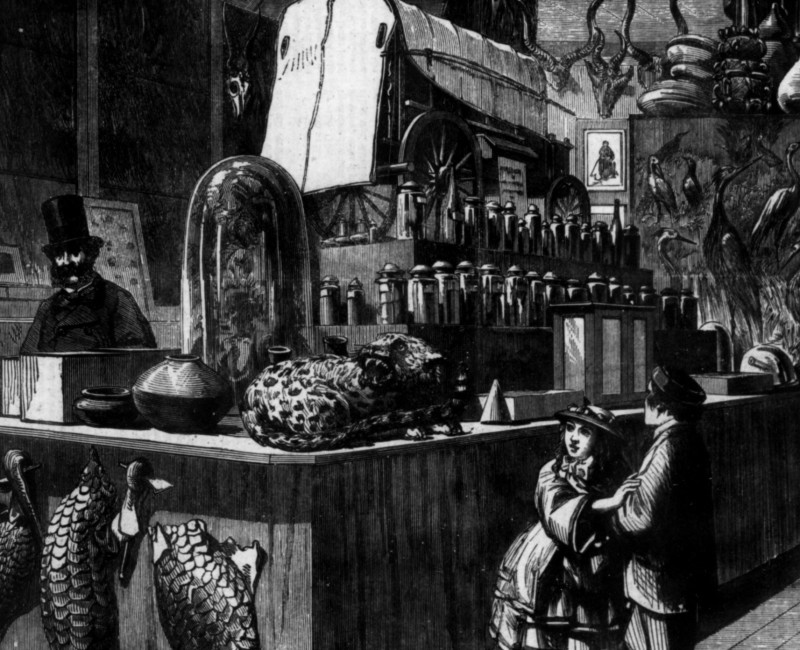 Illustrated London News, 1862-07-05, p. 20