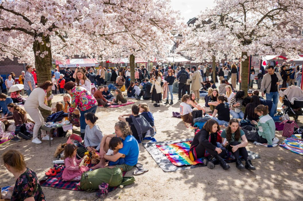 Hanami 2025