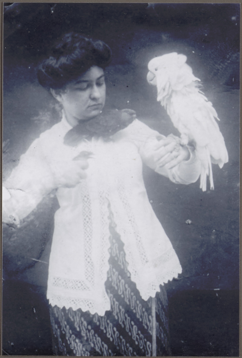Marie Agnes van Gesseler Verschuir-Pownall met drie vogels, voormalig Nederlands-Indië, 1910-1915. (TM-60054275)