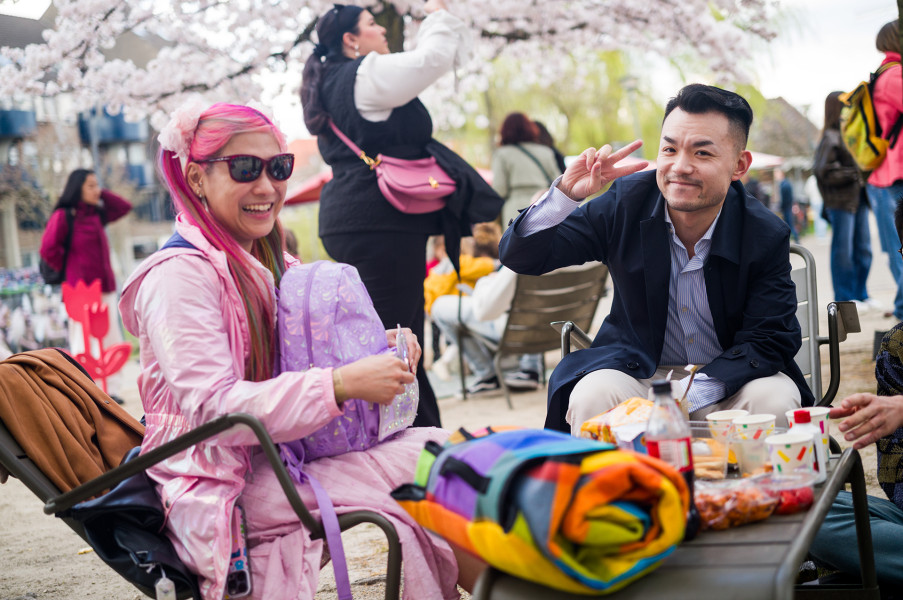 Hanami festival