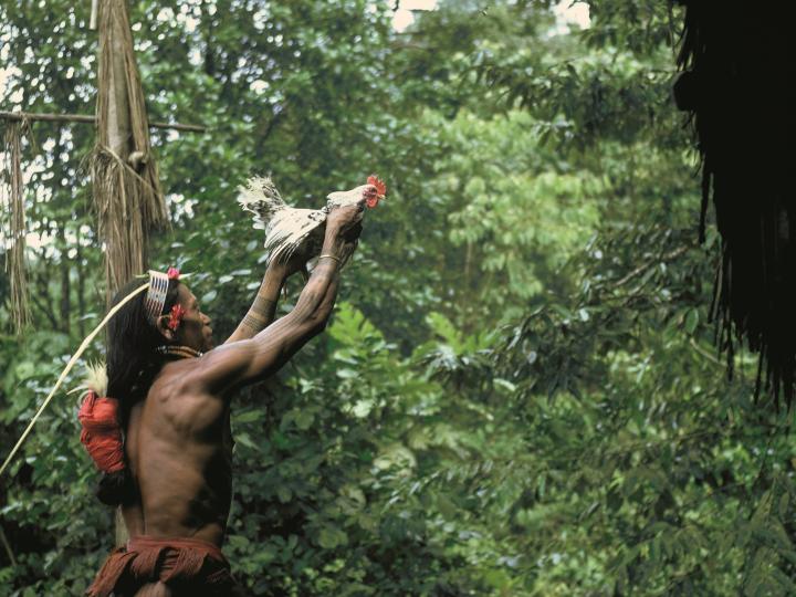 Mentawai - Museum Volkenkunde