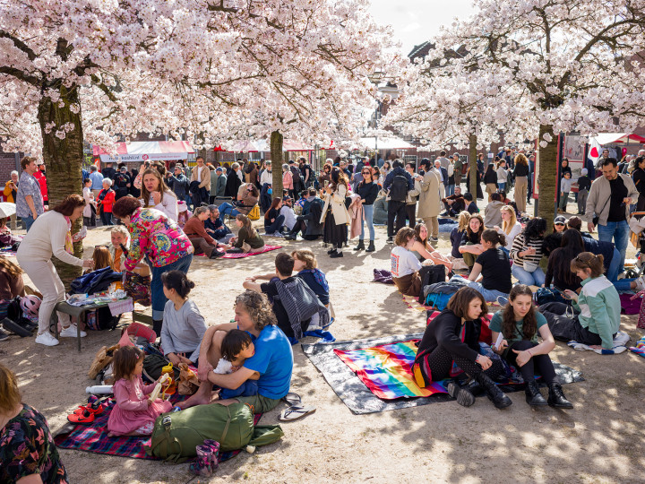 Hanami