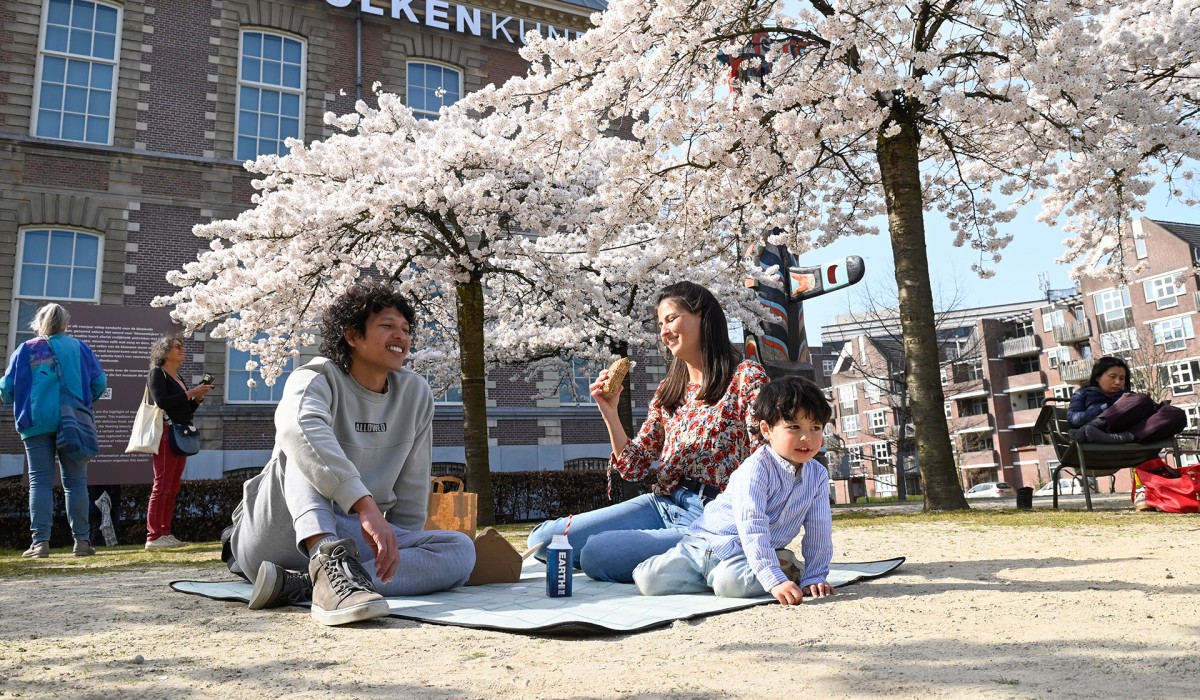 Hanami Wereldmuseum Leiden