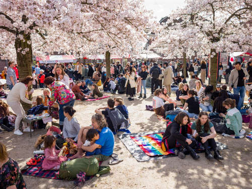 Hanami 2025
